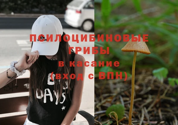 крисы Кинешма