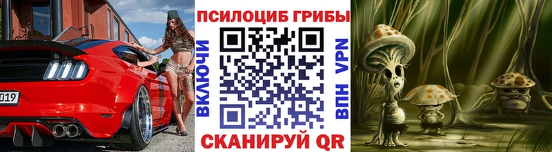 Купить  Белореченск  Галлюциногенные грибы Psilocybe 