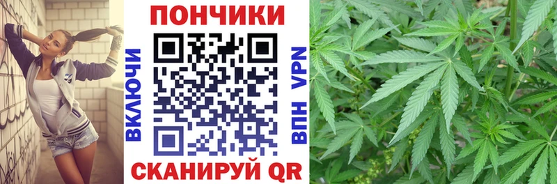 Купить где  Белореченск  Бошки Шишки семена 